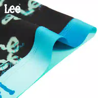 Lee 1