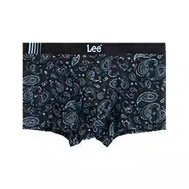 Lee 1