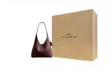 COACH Brooklyn 28 Logo Hobo