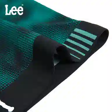 Lee 1