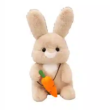 30cm40cm