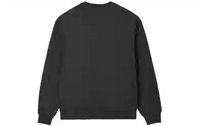Champion FW24 c-tech Logo