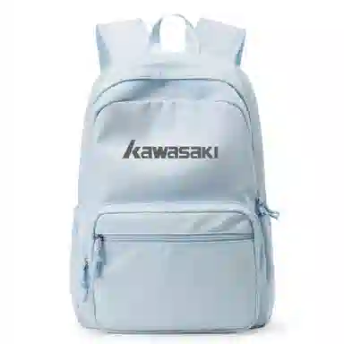 Kawasaki ins