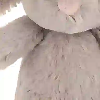 JELLYCAT 8cm