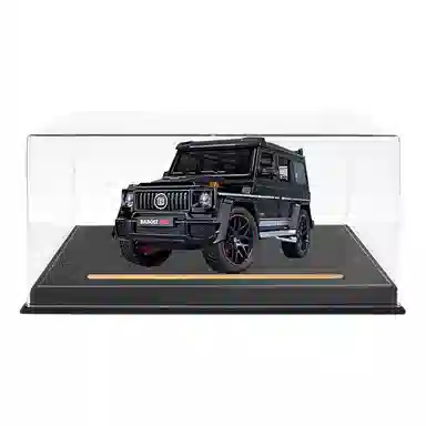 TY MODELS G800 118