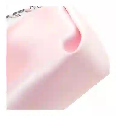 alexander wang marques