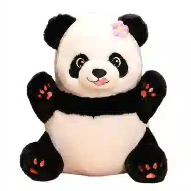 Teacher Lin 15cm25cm35cm50cm