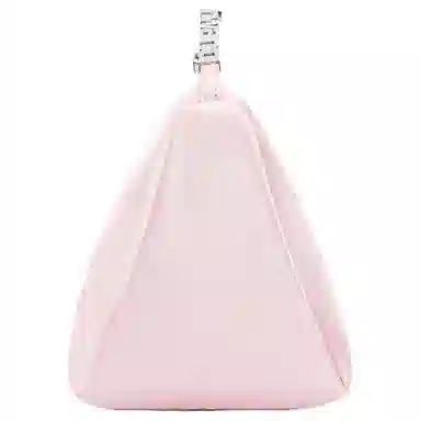 alexander wang marques