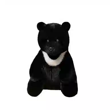 OU DI PIG 28cm35cm45cm60cm