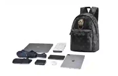 Chusan Vintage Embroidered Black Lion Backpack