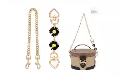 GUYI COACHGeorgie 20