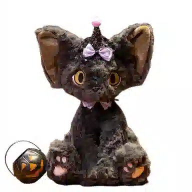 30cm