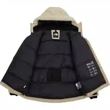 THE NORTH FACE Logo