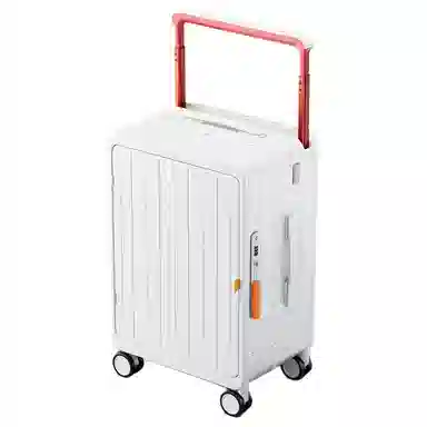DTA Luggage