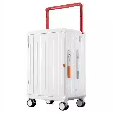 DTA Luggage