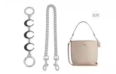 COACH City17