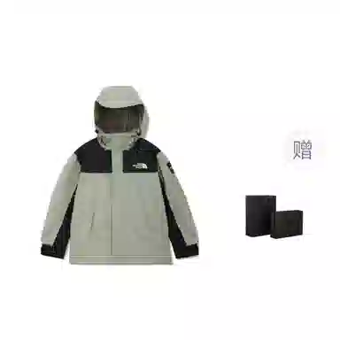 THE NORTH FACE