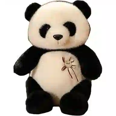 30cm40cm50cm60cm70cm