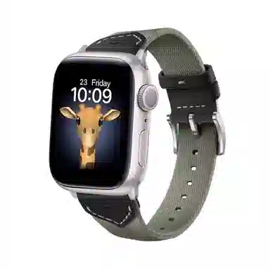 applewatchiwatchS10