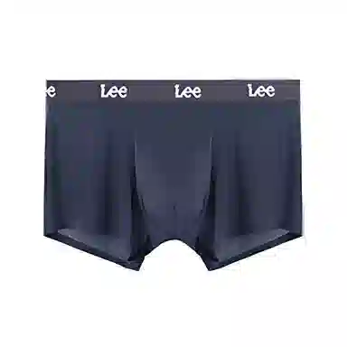 Lee 1