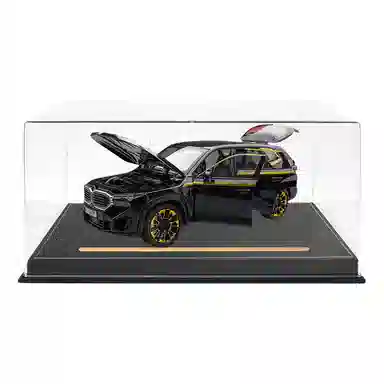 TY MODELS BWM XM 124