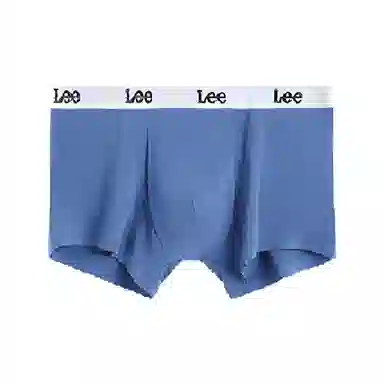 Lee 1