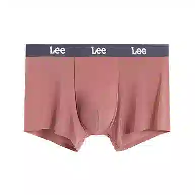 Lee 1