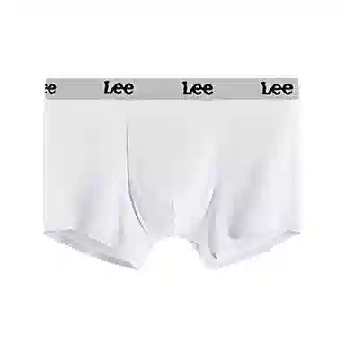 Lee 1