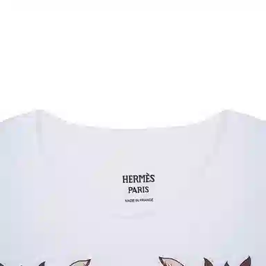 HERMES T