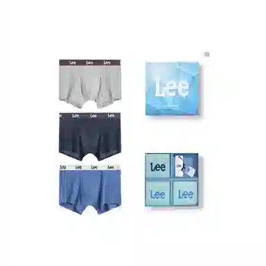 Lee 3