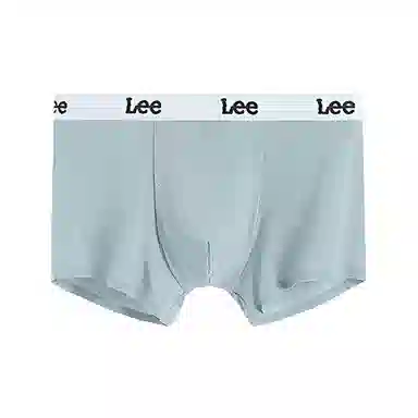 Lee 1