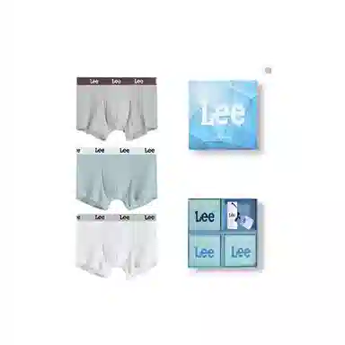 Lee 3