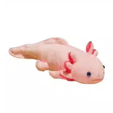 OLOEY 45cm80cm