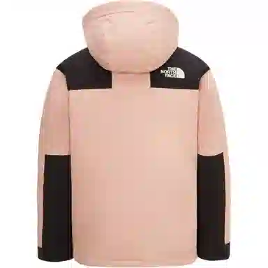 The North Face Mountain Down Gore-Tex