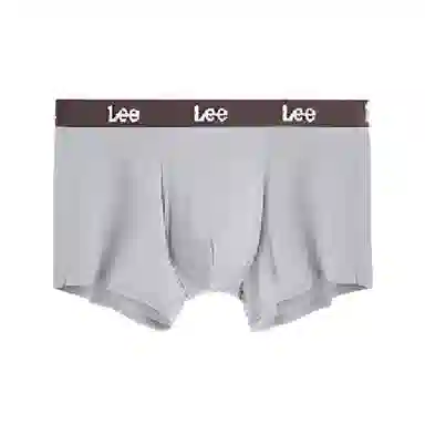 Lee 1