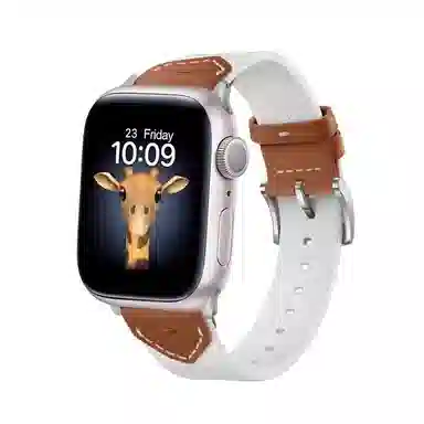 applewatchiwatchS10