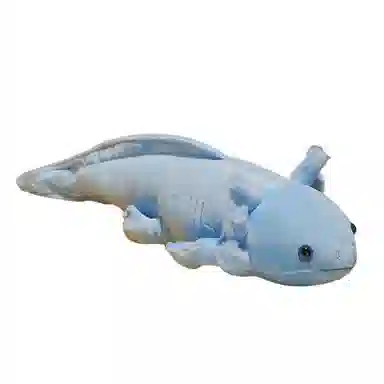 OLOEY 45cm80cm