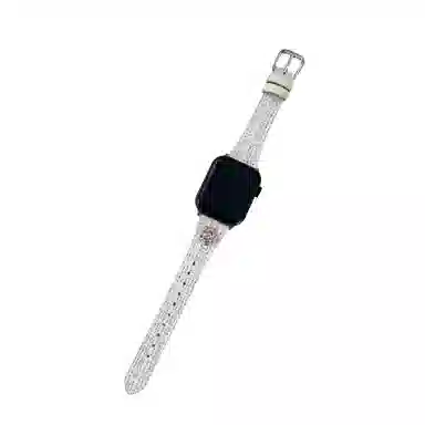 MSSM apple watch iwatchS10S987654SE123ultra