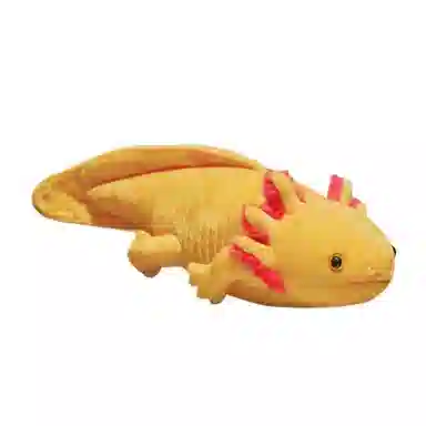 OLOEY 45cm80cm