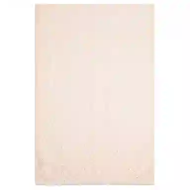 Ferragamo Shawl Light Pink