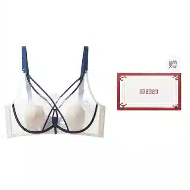 二三二三 软钢圈植物花卉收副乳防下垂文胸 女款