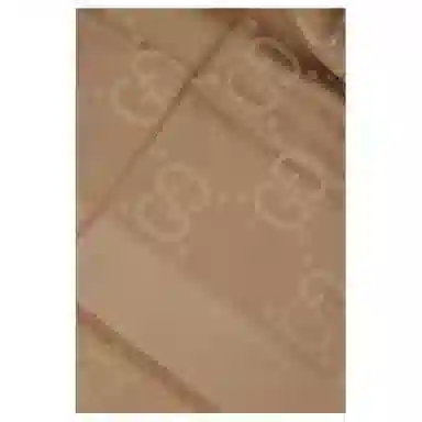Gucci Fashion Shawl Camel