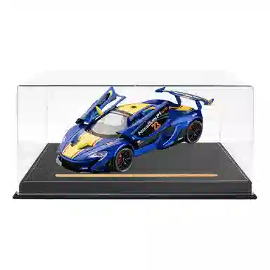 TY MODELS P1 GTR