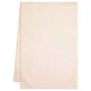 Ferragamo Shawl Light Pink