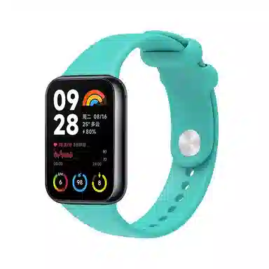 biaodaige 9Pro8Pro7Prowatch4