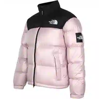 The North Face Novelty Nuptse Rds Down Jacket