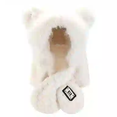 DZP