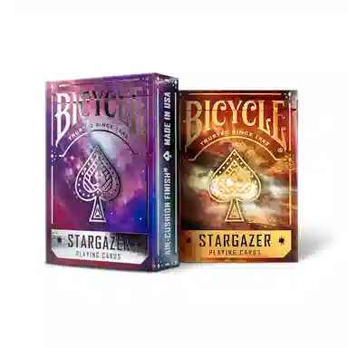 BICYCLE 202