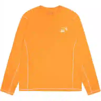Stussy x MOUNTAIN HARDWEAR FW24 LS TEE logoT