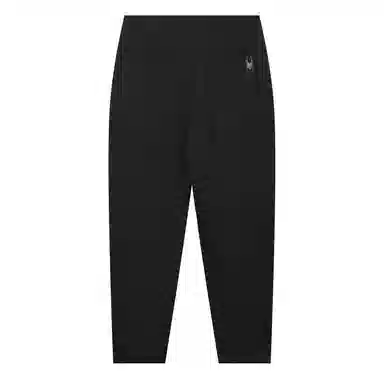 SPYDER MOUNTAIN LIFE logo